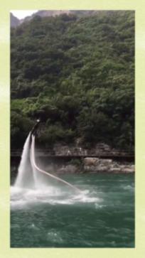 危险森林大逃脱