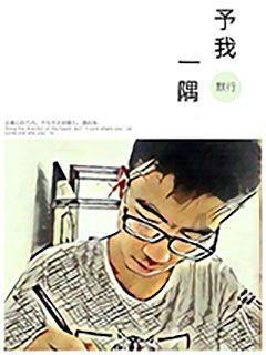 幽灵勇士中文版