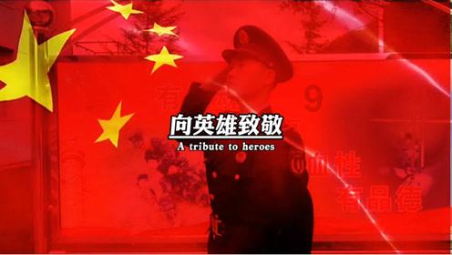 植物大战僵尸20