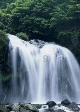 代理枪手