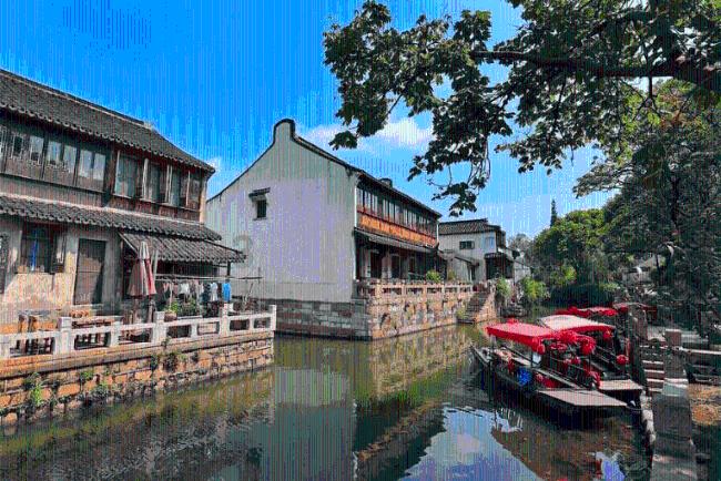 救援小蝙蝠